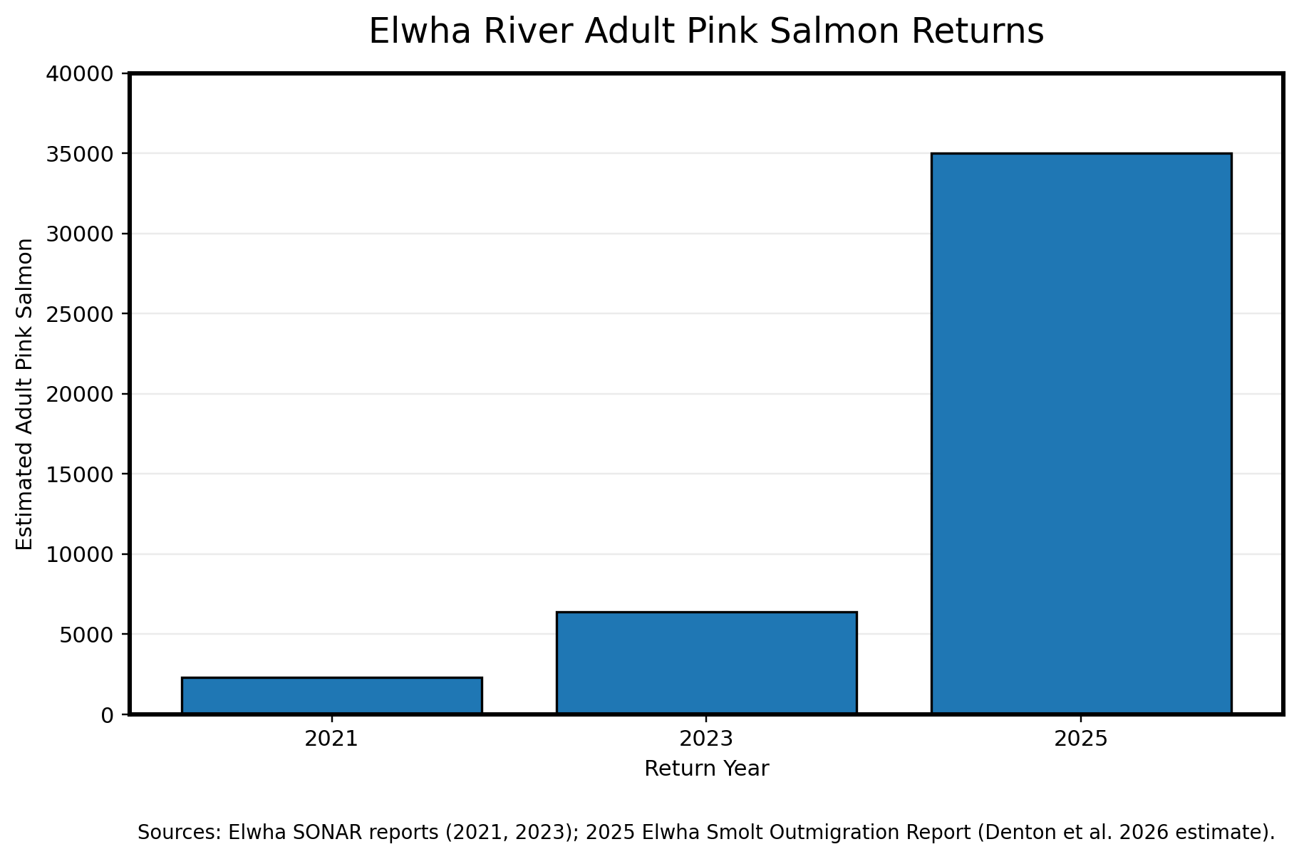 Pink salmon